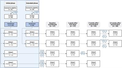 Immunogenicity and reactogenicity of accelerated regimens of fractional intradermal COVID-19 vaccinations